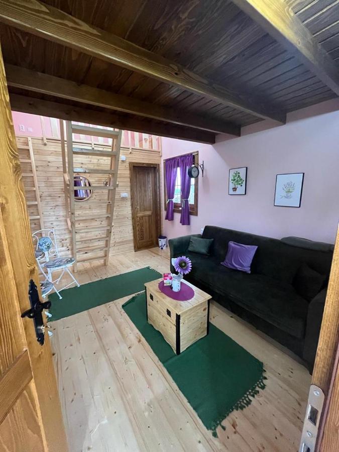Salas Gnijezdo Bačka Palanka Exterior foto
